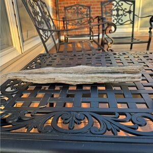 Natural Driftwood Decor Piece